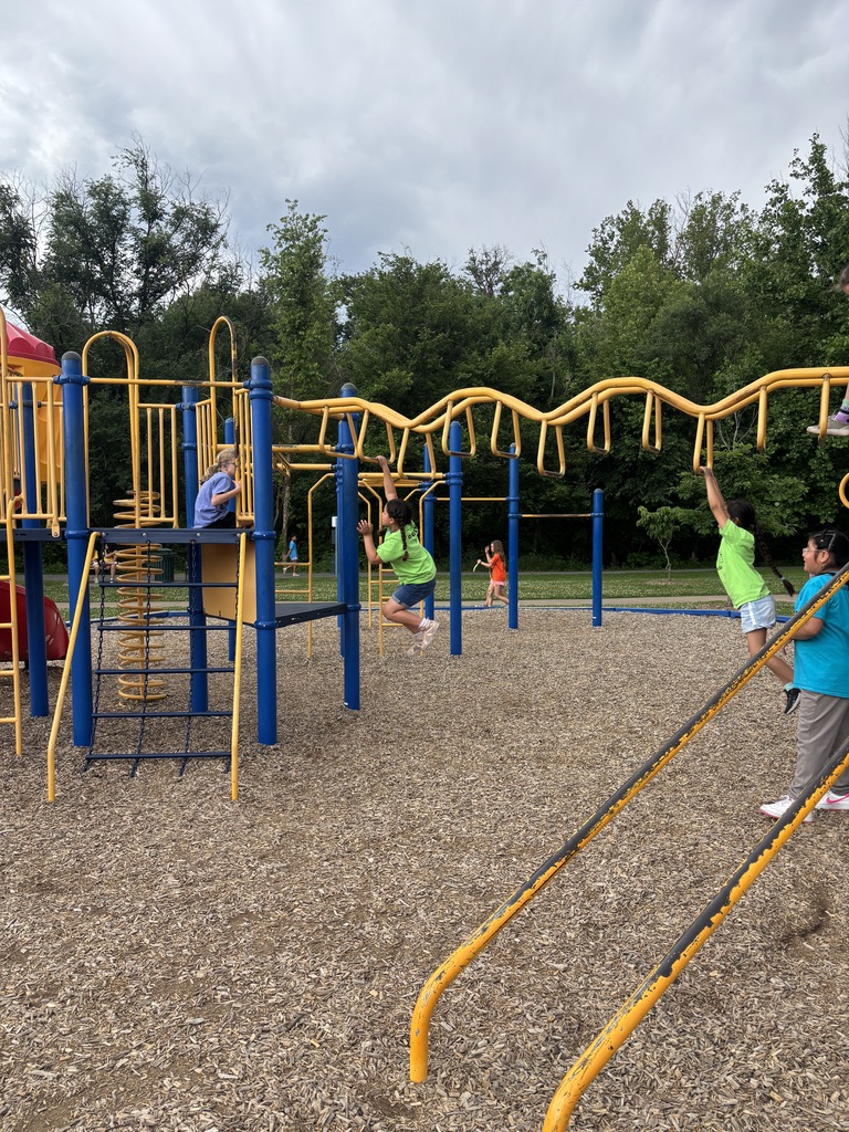 Children playing on a playground with slides, swings, and climbing structures, set against a backdrop of trees.