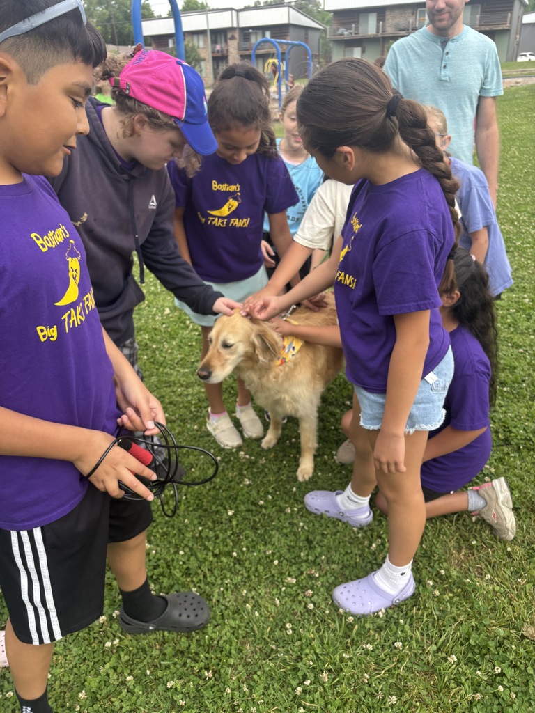 A group of children wearing purple shirts interact with a golden retriever in a grassy area.