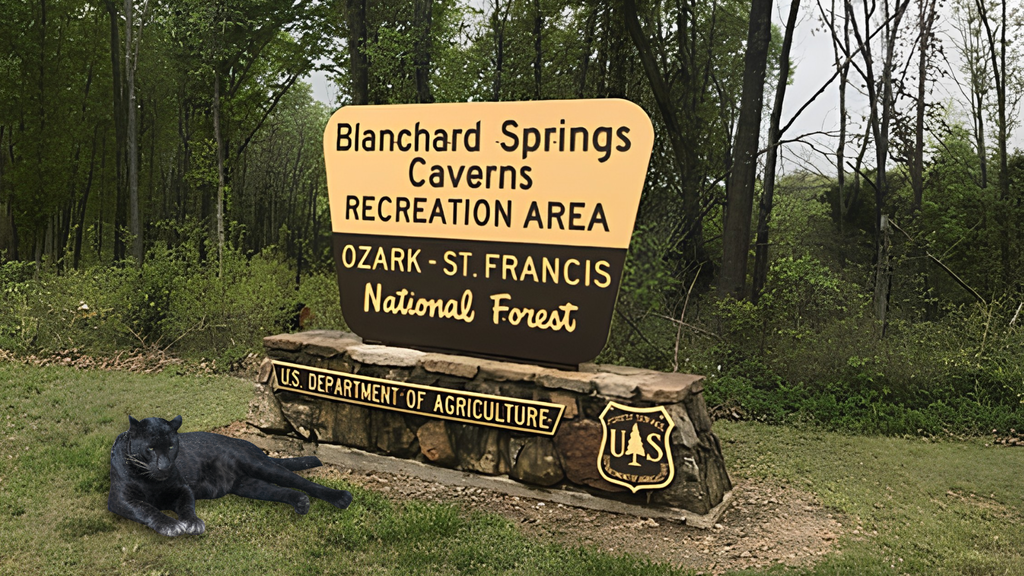 Sign for Blanchard Springs Caverns Recreation Area with a black panther lying on grass in front.