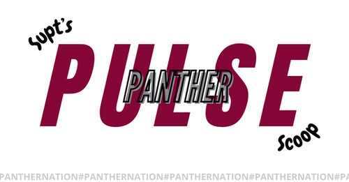 Red text "Pulse Panther Scoop" on white background. Words "Pulse" and "Scoop" in red, "Panther" in maroon.