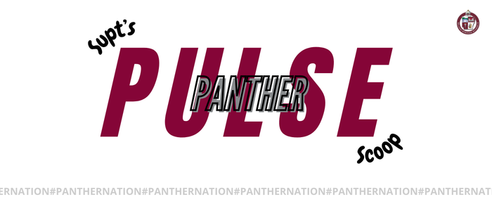White background with red text reading "PULSE" and "SCOOP" below. Below "PULSE", "Panther" is in red and black.