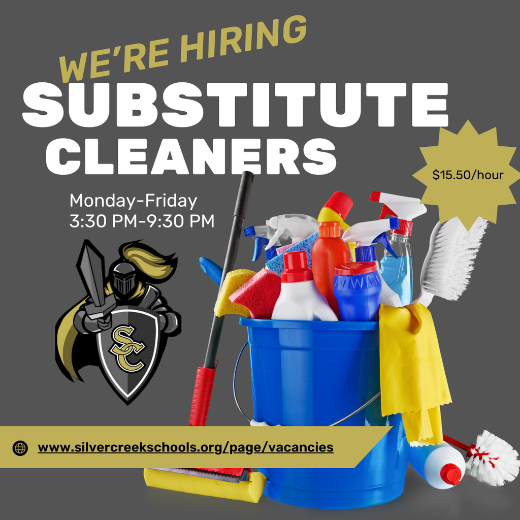sub cleaners