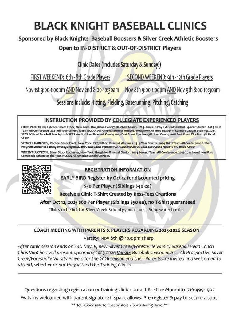 BLACK KNIGHT baseball clinic 2025