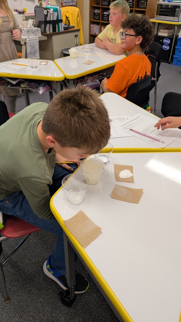 Student at desk watchin bubble reaction
