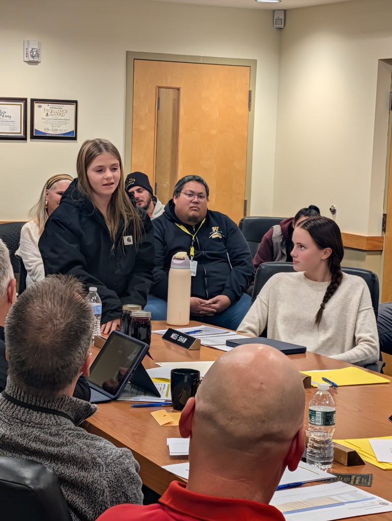 Allie presenting to the Board