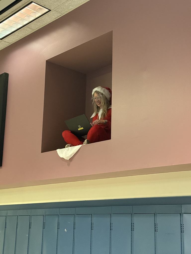 Miss Neubauer dressed as an elf sitting on a high shelf working on laptop