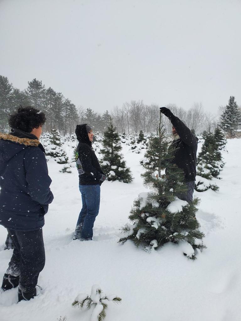 A man touches the top of a small pine tree as students listen. 