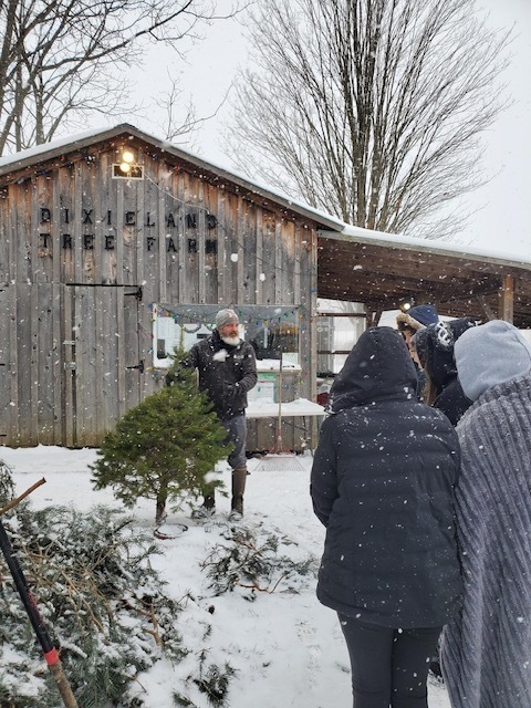 Students see a cut Christmas tree.