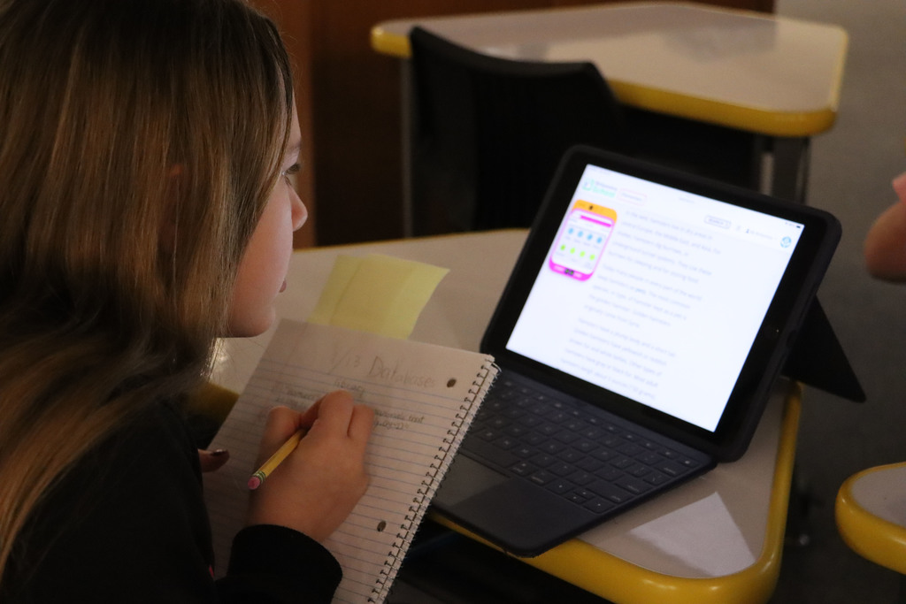 A student looks at a database.