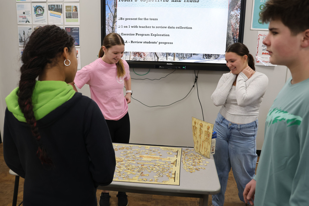 students stand before an anatomy puzzle depicting a skeleton. 