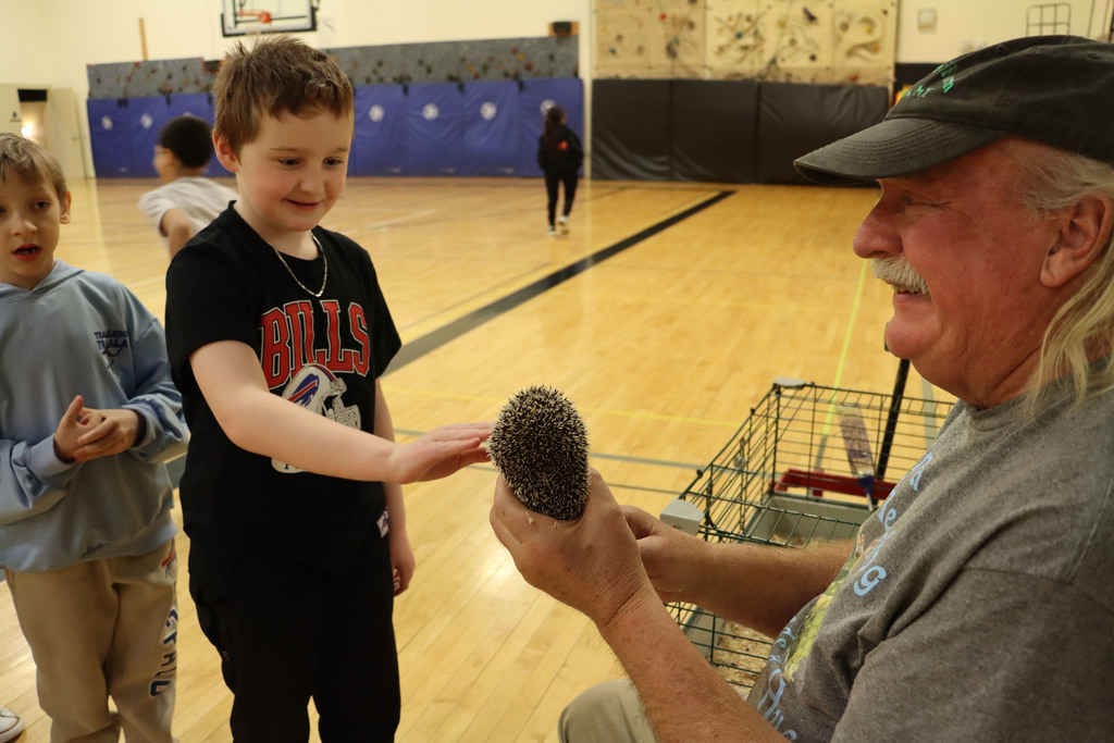 A student pets a hedgehog. 