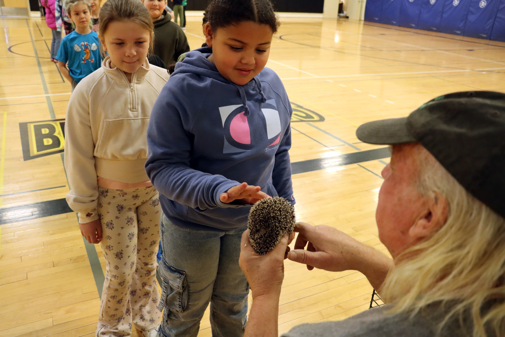 A student pets a hedgehog. 