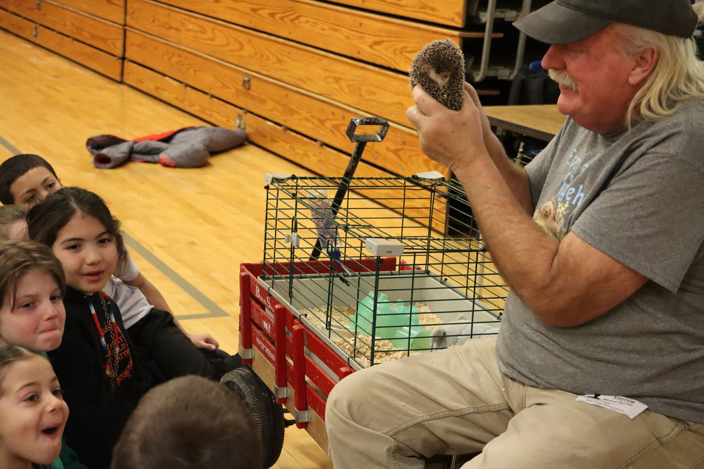 Mr. Morton holds up the hedgehog for students. 