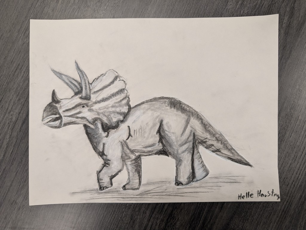 black and white triceratops drawing