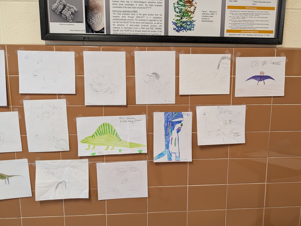 gallery of dinosaur drawings in hallway