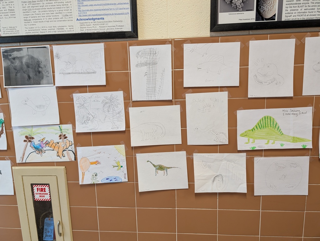 gallery of dinosaur drawings in hallway