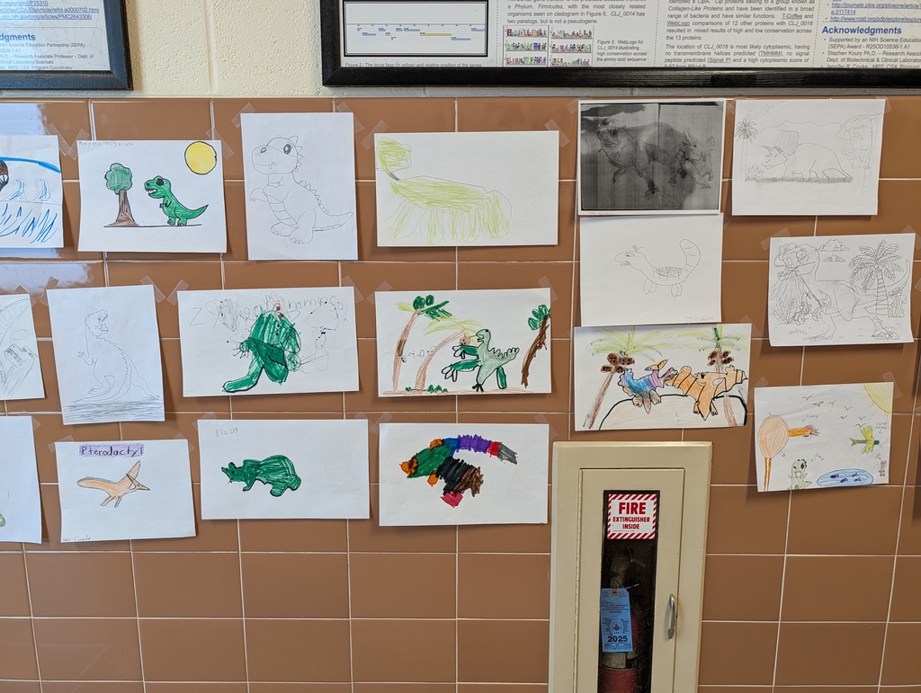 gallery of dinosaur drawings in hallway