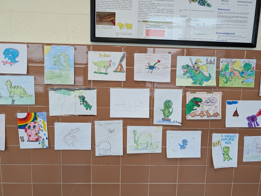 gallery of dinosaur drawings in hallway