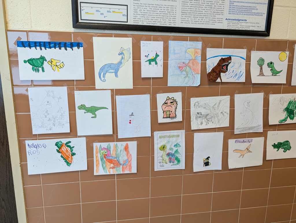 gallery of dinosaur drawings in hallway