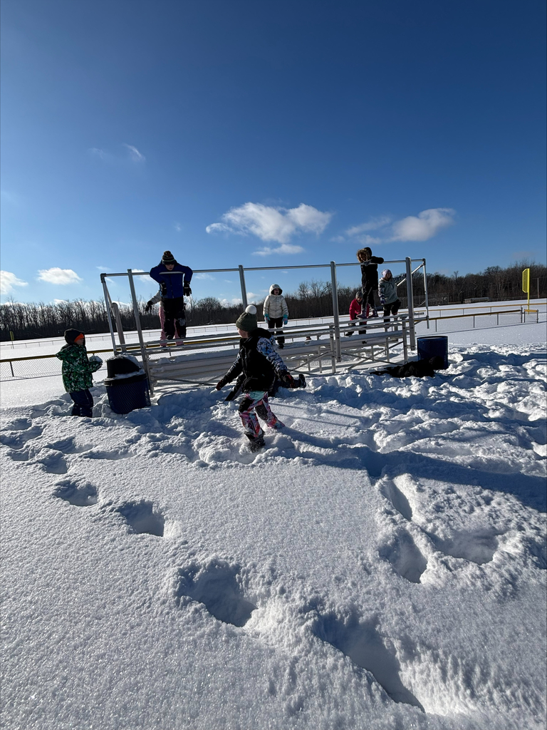 Students playing in snow