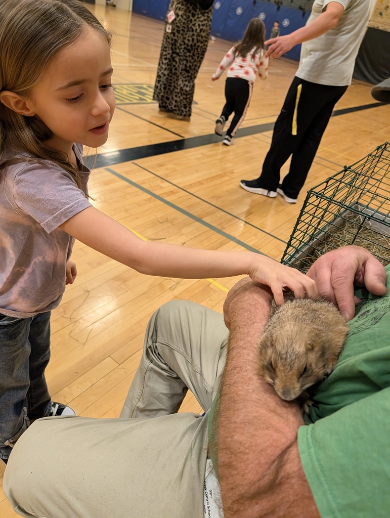 a girl pets the prairie dog