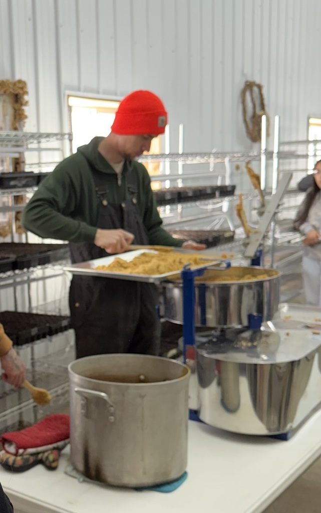 farm worker with maple sugar