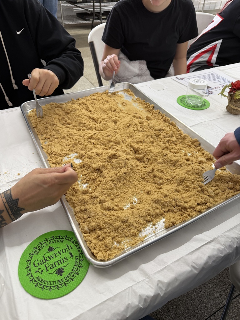 close up of forks in maple sugar