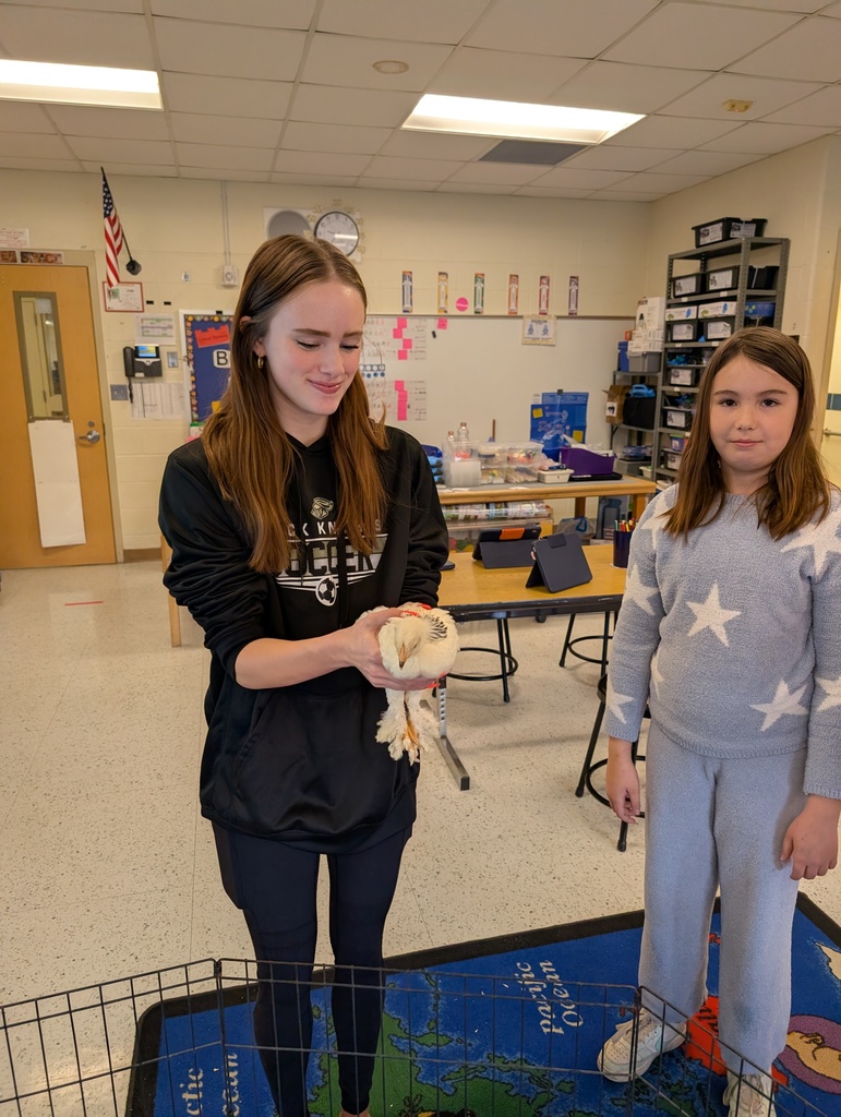 Molly holding a chick while a girl looks on