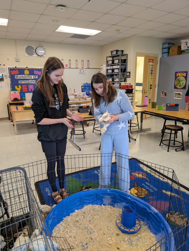 a girl handing a chick to Molly