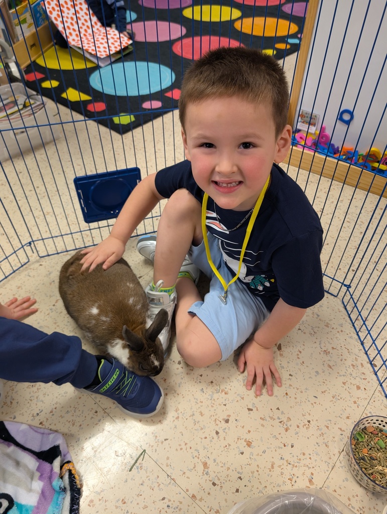 a boy smiling and petting the bunny