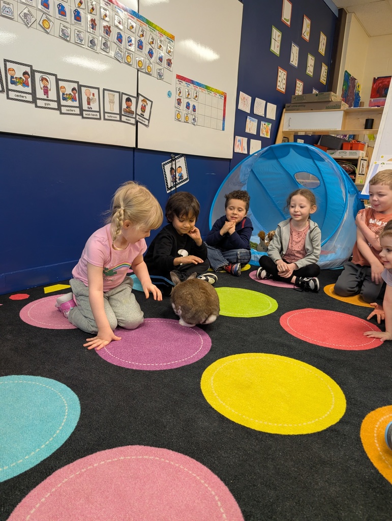 a group of students watching the bunny on a carpet