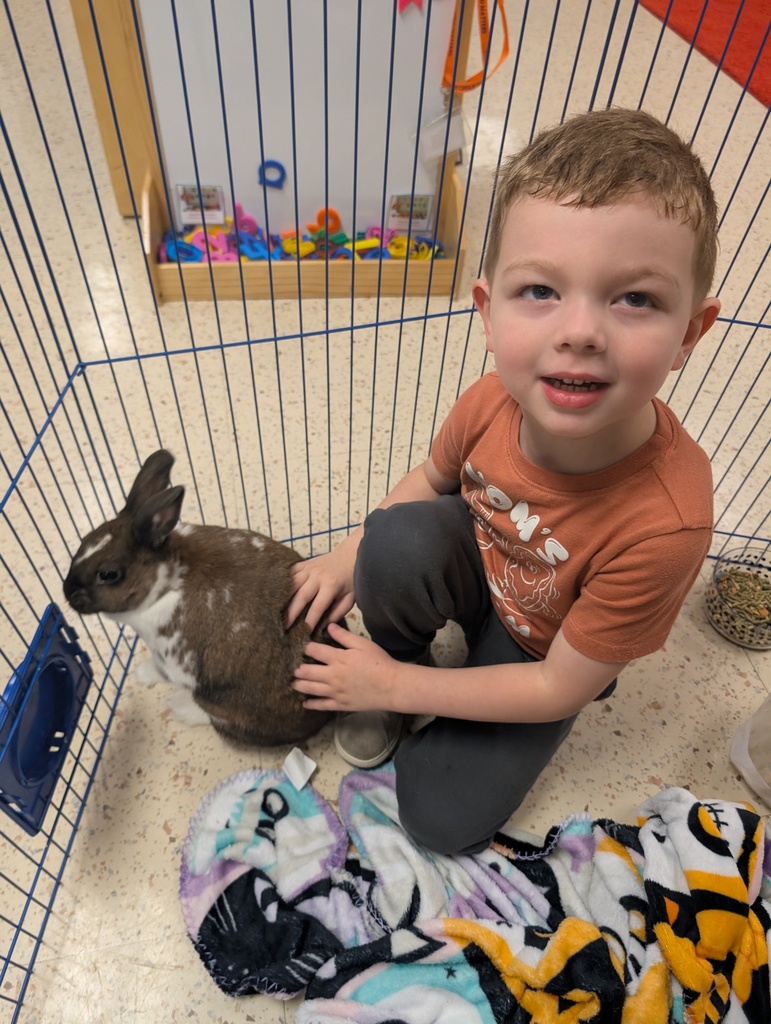 a boy smiling and petting the bunny