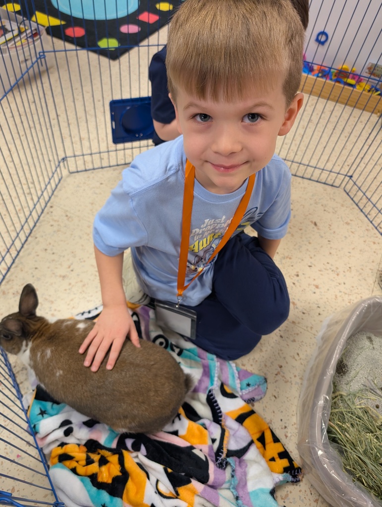a boy smiling and petting the bunny
