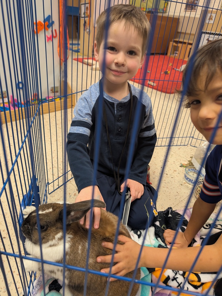 boys smiling and petting the bunny