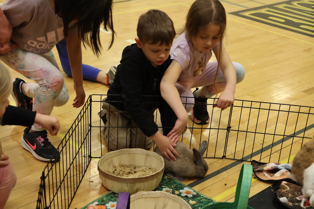 Students pet a rabbit in a pen on the floor. 
