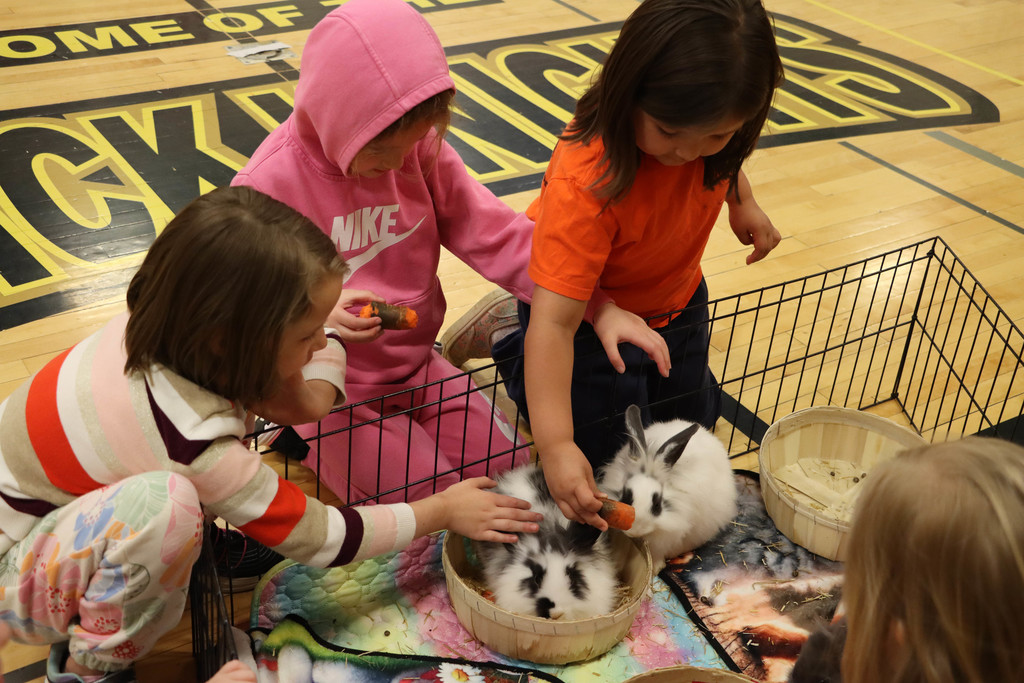 Three girls feed the rabbits carrots. 