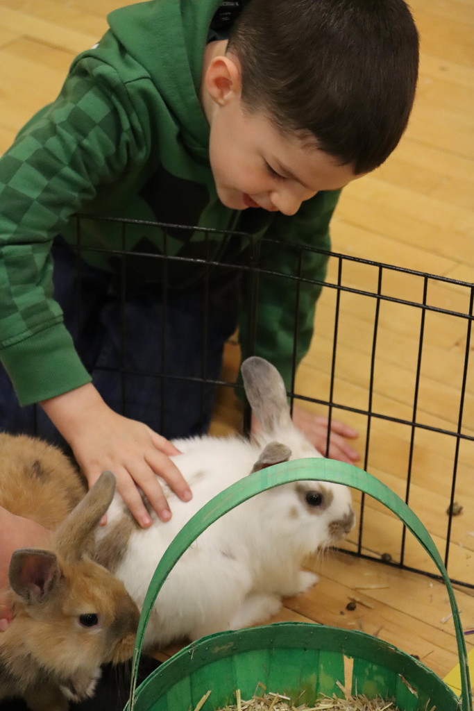 A student pets a rabbit. 