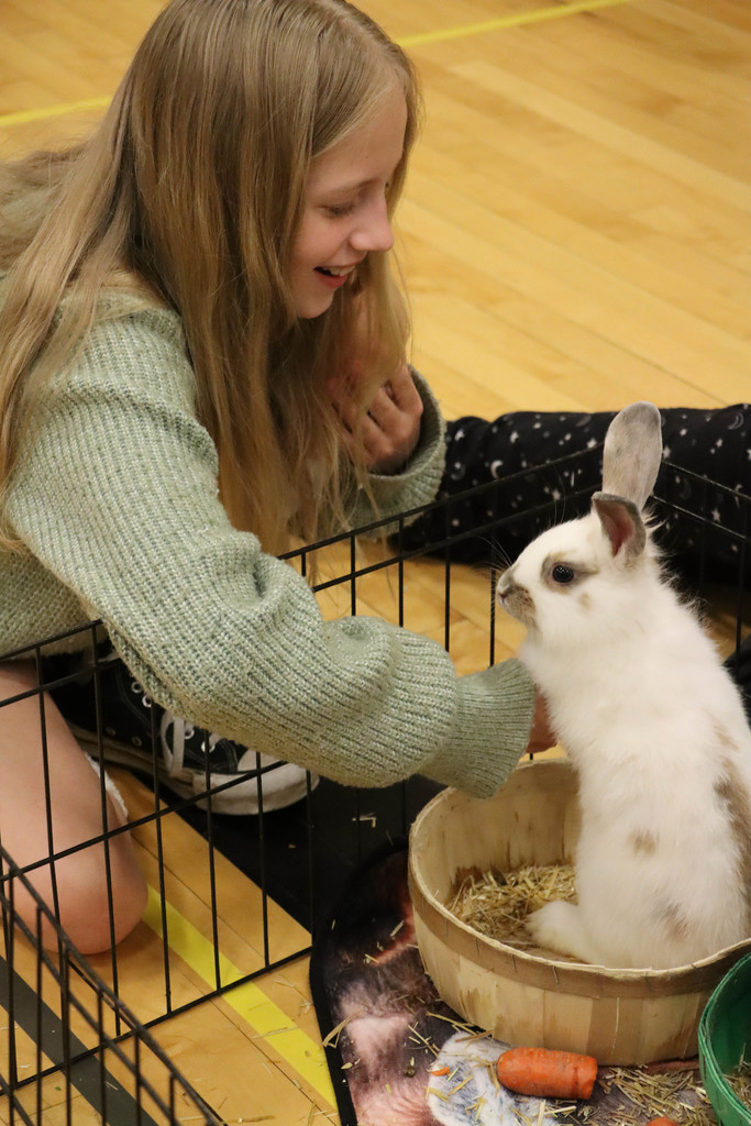 A student pets a rabbit. 