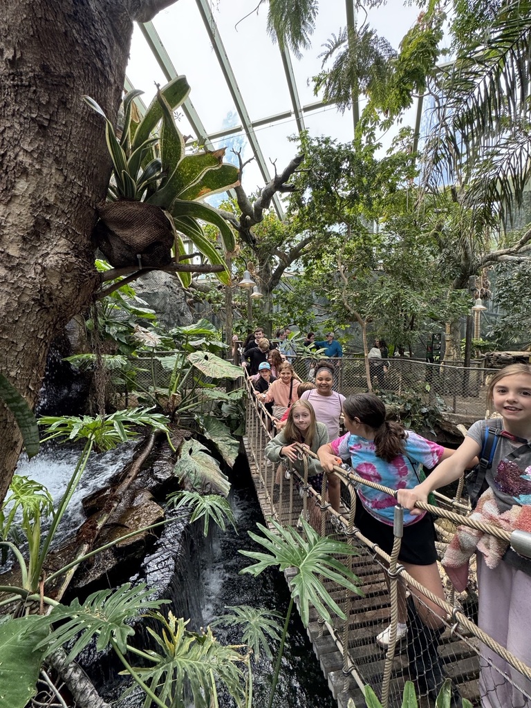 students cross rainforest bridge
