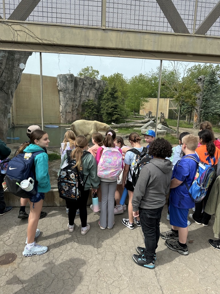students looking at polar bear