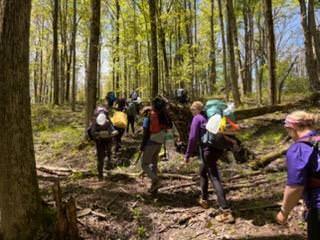 hiking through woods