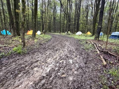tents set up in woods