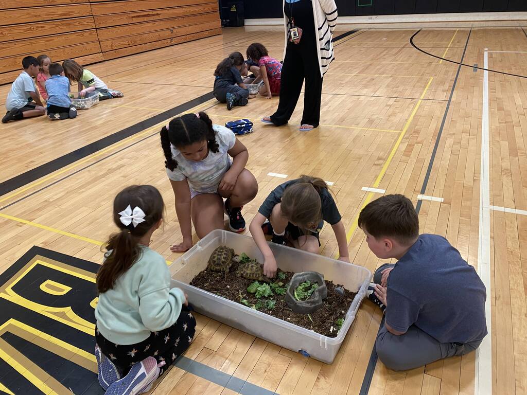 students gathered around a young tortoise