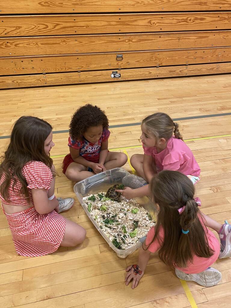 girls gathered around a young tortoise