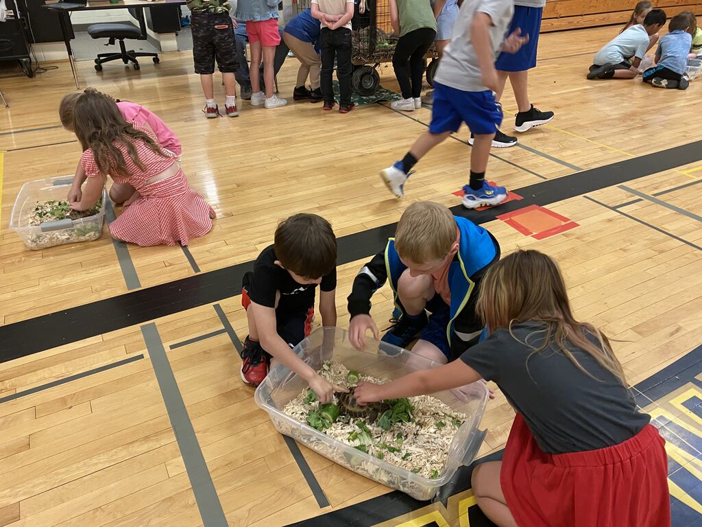 students gathered around a young tortoise