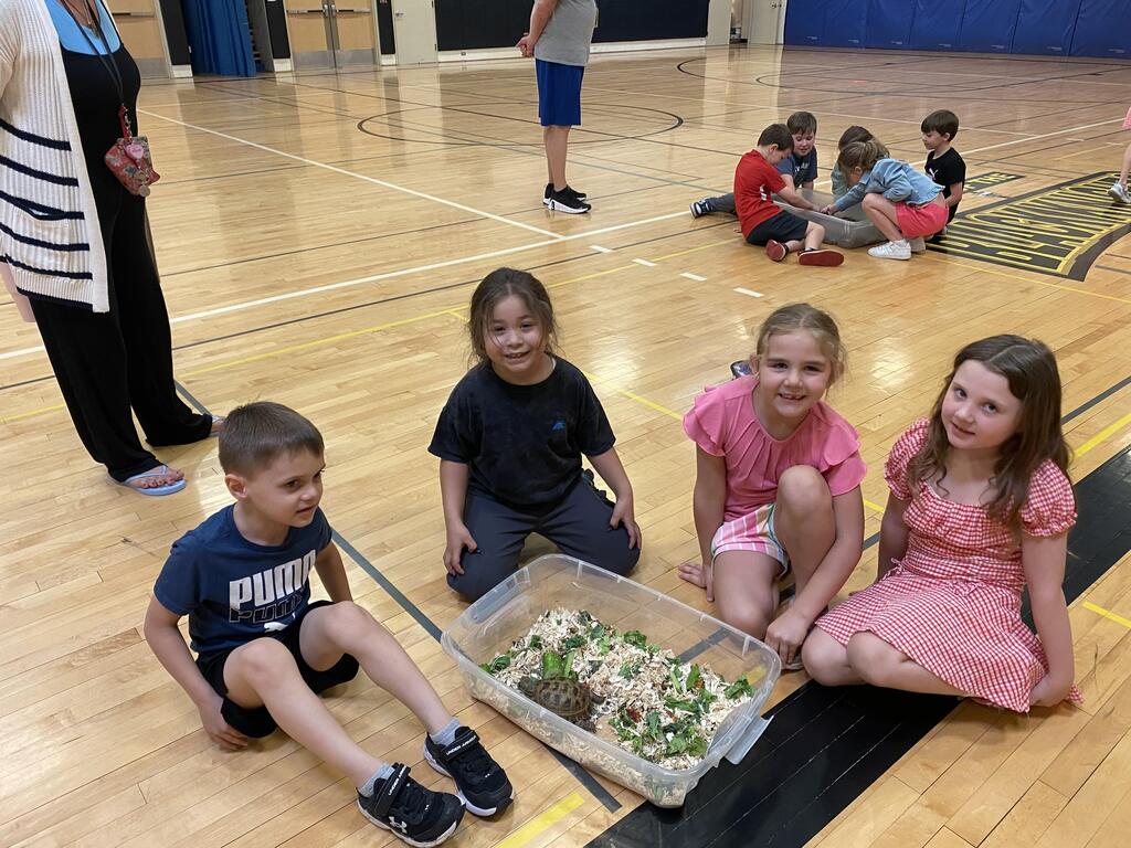 students gathered around a young tortoise