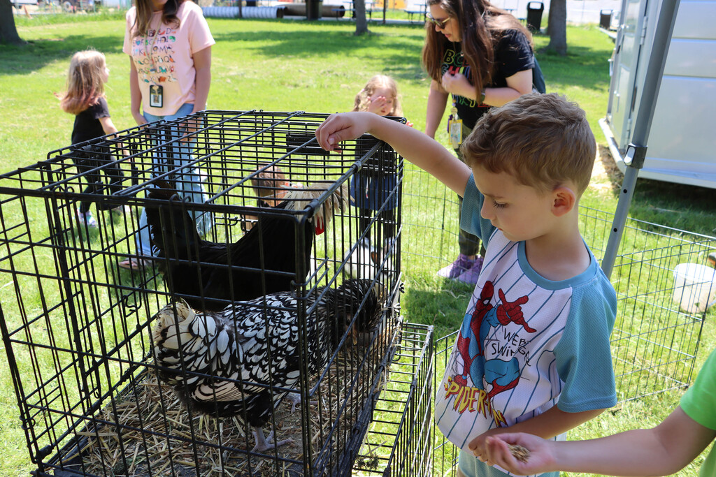 A student feeds the chickens