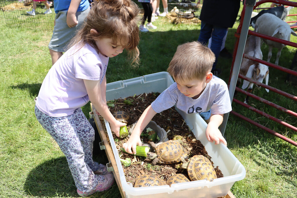 Students pet small tortoises.