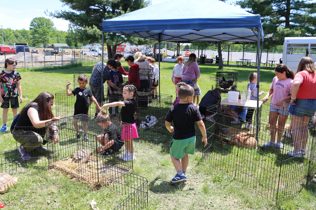 Students pet a variety of animals through the cages. 