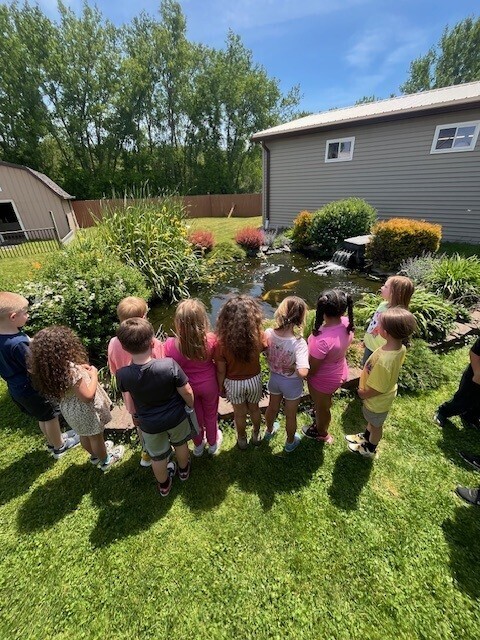 Students look at a coy pond.